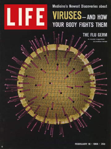 Life cover virus02